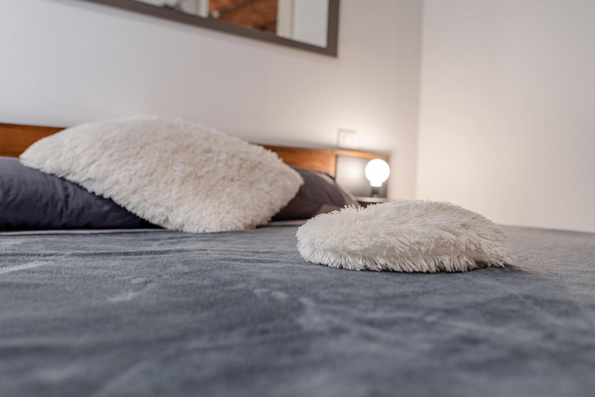 Suite & Queen Apartments Турин Екстер'єр фото
